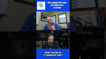 Inflammation and the nervous system #manualtherapy #painscience #physicaltherapy