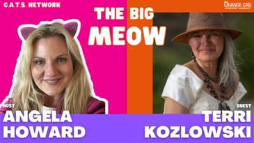 160: Kozmic Soul Solutions with Terri Kozlowski