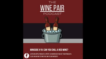 Minisode #19: Can You Chill a Red Wine? (The 20/20 rule, chillable red wines)