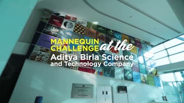 Mannequin Challenge