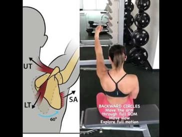 How to Increase Scapular Mobility