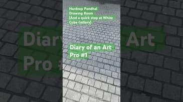 Diary of an Art Pro #1 [2 exhibition shorts] #contemporaryart #artexplained #artdiary #podcast