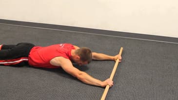 Prone Arm Raises Bilateral