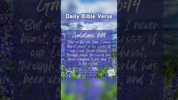 Daily Devotional - Galatians 6:14 - #motivational #inspirational #bible