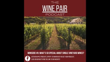 Minisode #9  What's So Special About Single Vineyard Wines?