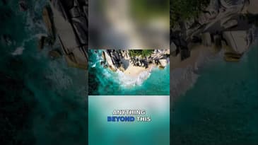 Moving Forward: The Power of Forgiveness