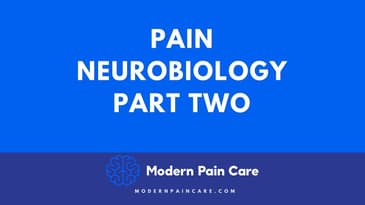 Pain Neurobiology 2