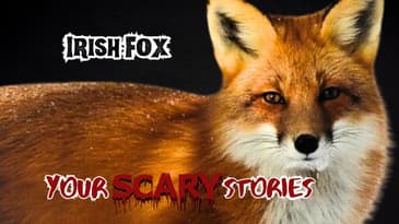 Irish Fox true scary story
