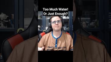Too Much Water