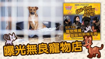 曝光無良寵物店 | EP14 精華片段 | Chit-Chat Chill 唞下啦! | 美國廣東話 Podcast 節目