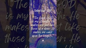 #Bible Verse - Habakkuk 3:19 #inspiration #motivation #faith