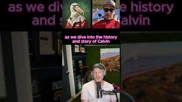 The Most Incredible Golf Statistic Ever!