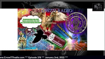 A Superb Owl and a Common Spider Walk into Bar and a Person Leaves