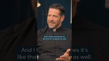 What If I Can't Learn Everything in the Bible? w/ Fr. Mike Schmitz