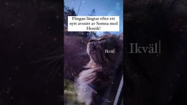 Lugn Flingan! Det kommer!