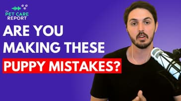 Avoid These 5 Costly Puppy Mistakes