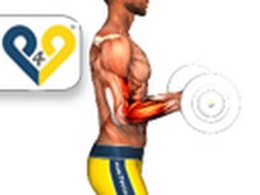 Reverse Barbell Curls