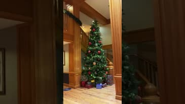 This is lovely! P.S sorry for the loud background music 😅 #shorts #christmas #familyislove