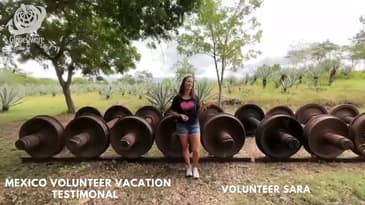 Mexico Testimonal! Returning Globe Aware Solo Volunteer Review!