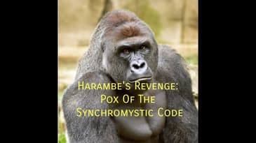 Harambe's Revenge: Pox Of The Synchromystic Code