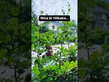 @ninahjelmkvist ❤️