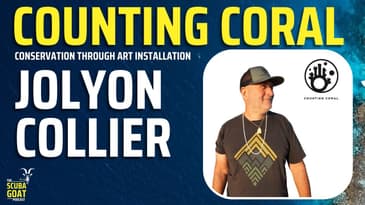 Jolyon Collier - Counting Coral