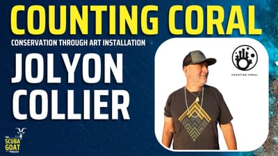 Jolyon Collier - Counting Coral