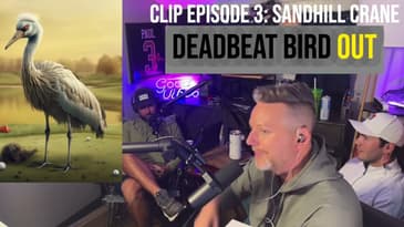 Golf Cart hit Sandhill Crane #shorts