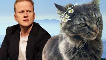 Sanningen om min katt