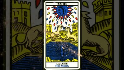 XVIII. The Moon Card (Marseille Tarot)