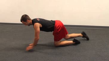 Extension Crawl - Beginner