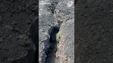 This Is A Volcanic Fissure! A Solo Spring Adventure in the Galápagos with Globe Aware ( Clip 20 )
