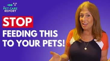 Cat vs. Dog Diets: Surprising Differences