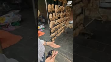 HE"S MAKING THESE FROM BAMBOO ROOTS!? THIS IS VIETNAM WITH GLOBE AWARE ( Volunteer Vacation 2023)