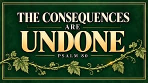 Psalm Magic for Peace & Anxiety Relief