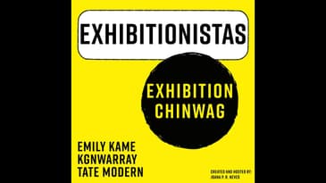 The Gift of Painting, The Dreaming by Emily Kame Kgnwarray: EXHIBITION CHINWAG