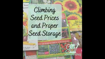 Climbing Seed Prices and Proper Seed Storage - Ep. 173
