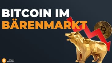 Wieso ist der Bitcoinpreis stark gefallen? & Was tun im Bitcoin-Crash?