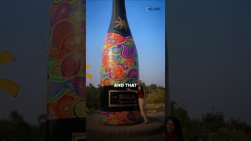 “India Drinks Whiskey, Not Wine” 🍷 How Rajeev Proved Them Wrong