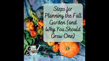 Steps for Planning the Fall Garden (and Why You Should Grow One) - Ep. 205