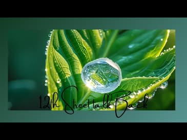 A Daily Dose... Luke 15 the Lost Sheep