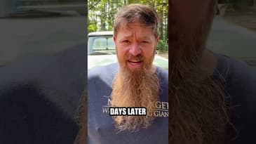 Debate on Kamala Harris's stance on guns and border security