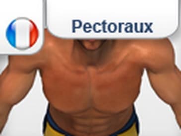 3D Intructions Exercice "Explosive PushUp" pour Pectoraux