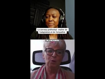 Découvrez le cerveau préfrontal, le maestro de notre comportement !