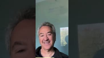 the power of mentors