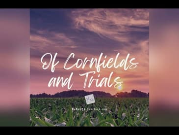 #motivation "Wish It Into the Cornfield, Anthony!" #motivational #inspiration #bible #inspirational