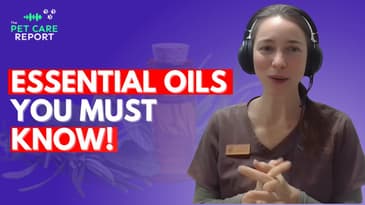 Essential Oils and Herbs for Dogs