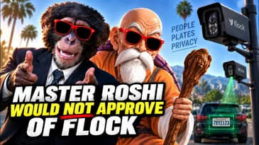 Master Roshi Would NOT Approve of Flock