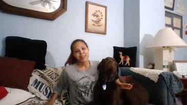 Meet Bella (She's a Friendly Chocolate Lab)