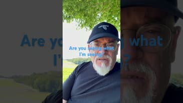 Old strategies are no longer working to manage our fear and anxiety. #metacrisis #anxiety #thepivot